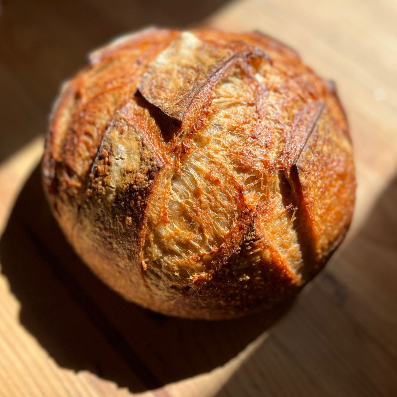 Sourdough con harina integral